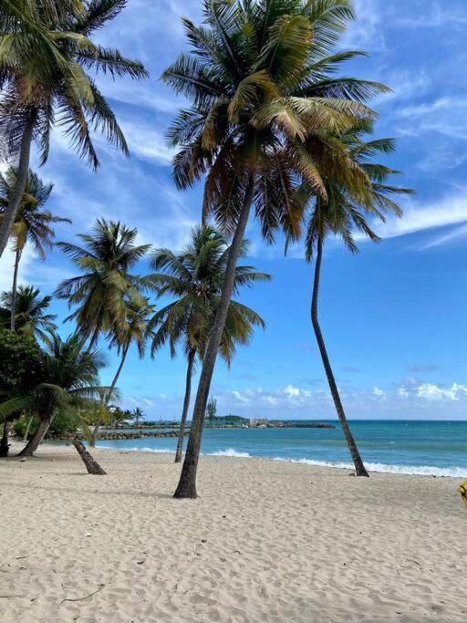 Le Calypso, Beachside Heaven Le Gosier  Luaran gambar